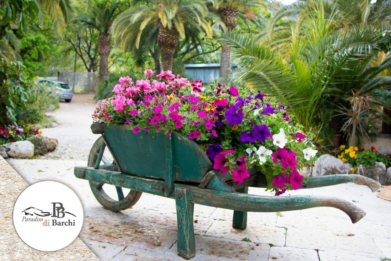 Agriturismo Paradiso Di Barchi Terracina Exteriér fotografie