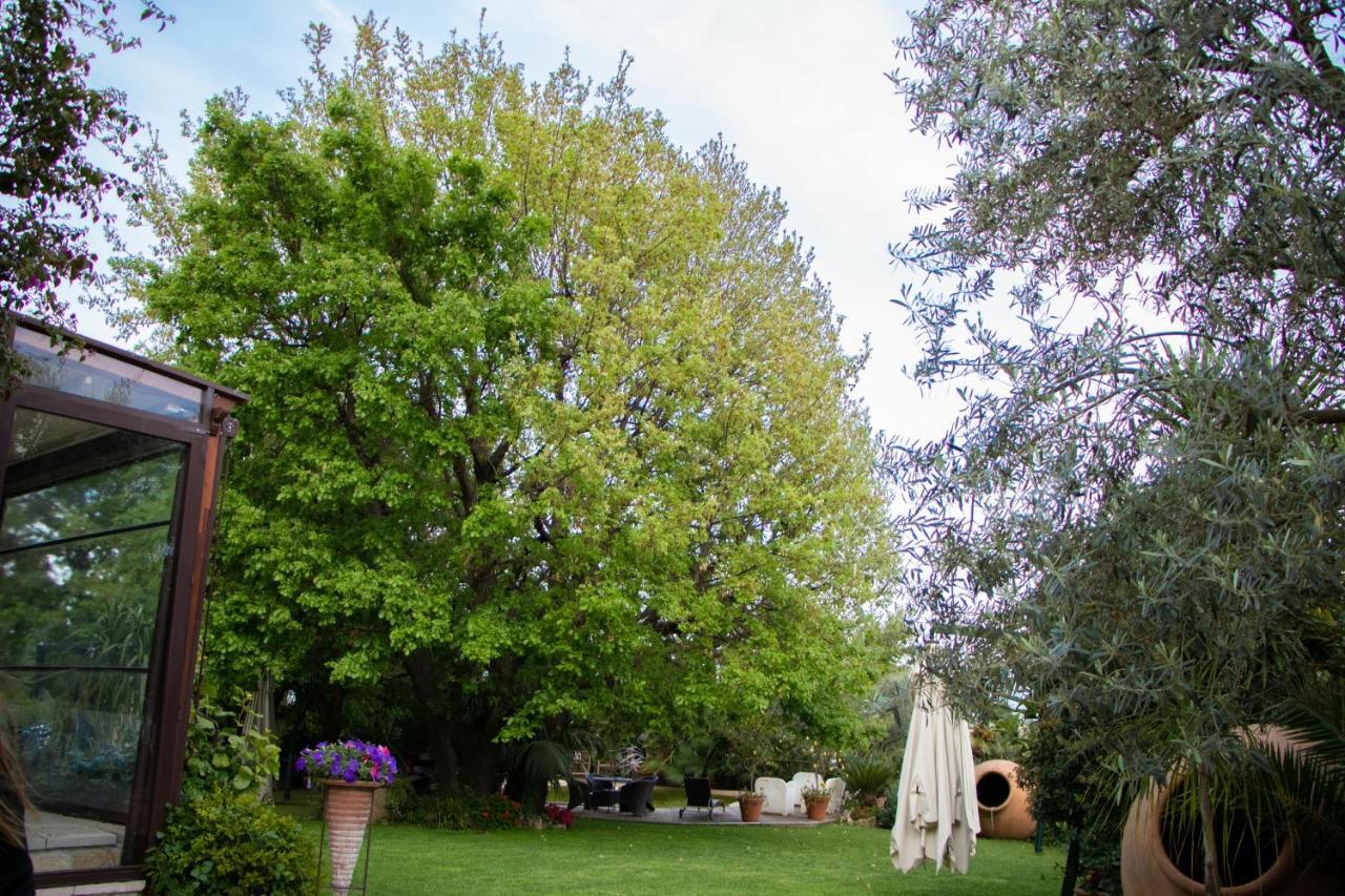 Agriturismo Paradiso Di Barchi Terracina Exteriér fotografie